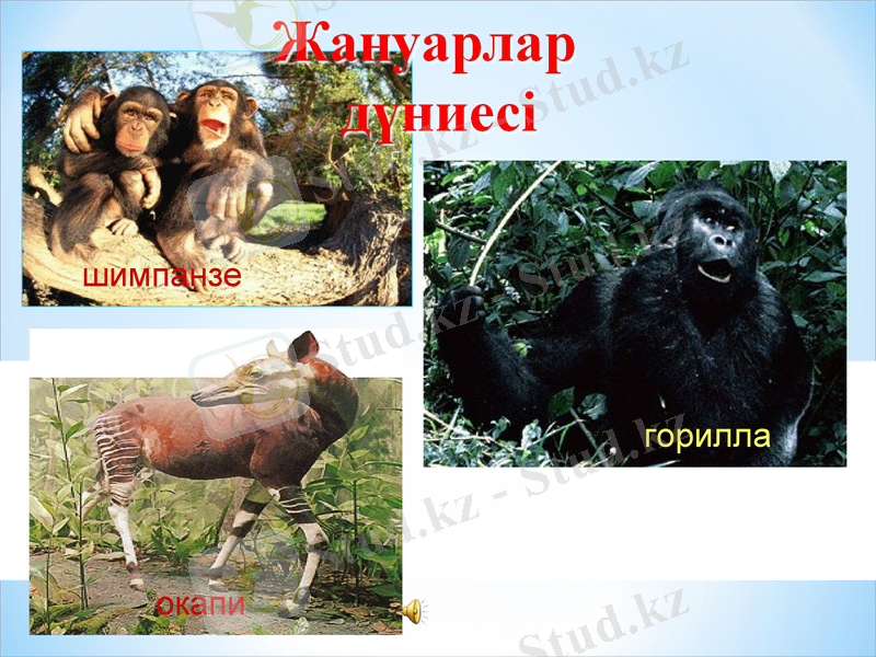 Slide 31