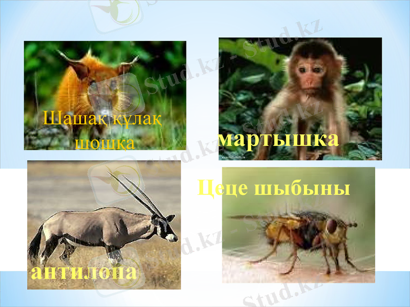 Slide 32