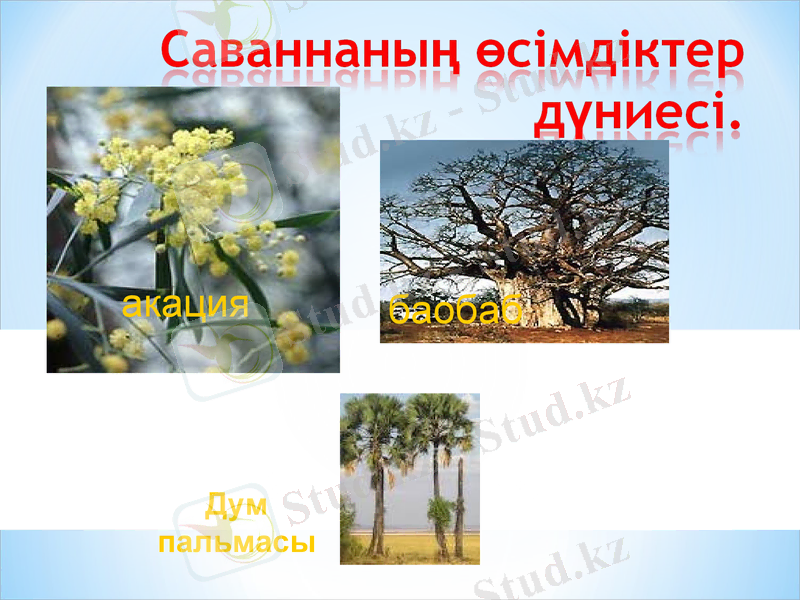 Slide 36