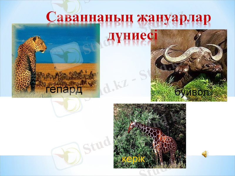 Slide 37