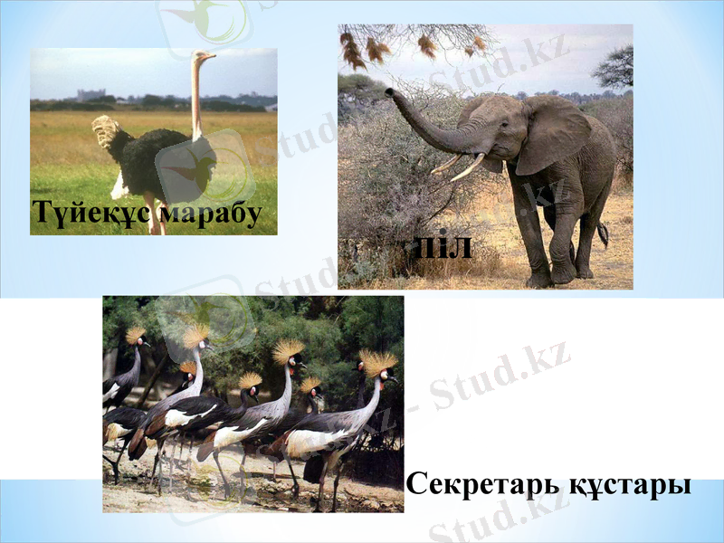 Slide 38