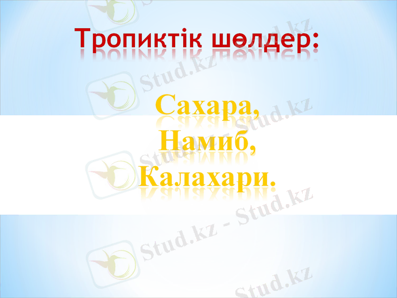 Slide 41