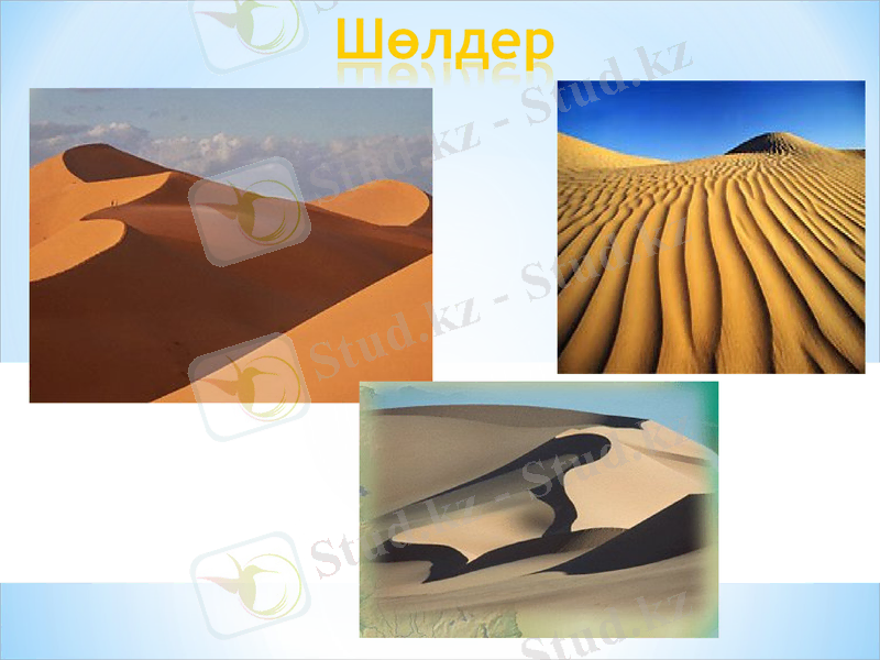 Slide 42