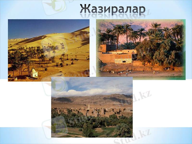 Slide 43