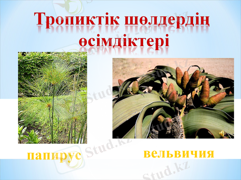 Slide 44