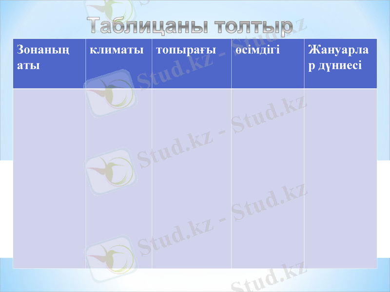 Slide 46