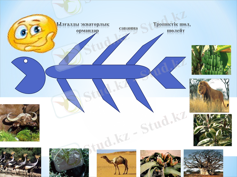 Slide 47
