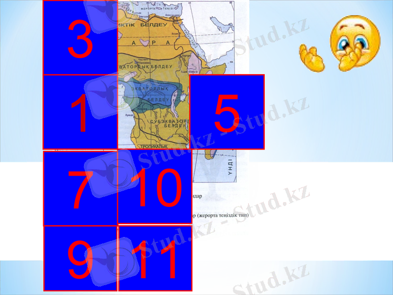 Slide 7