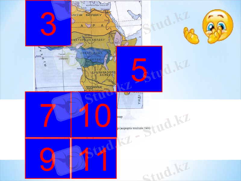 Slide 8