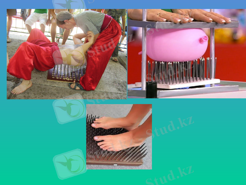 Slide 10