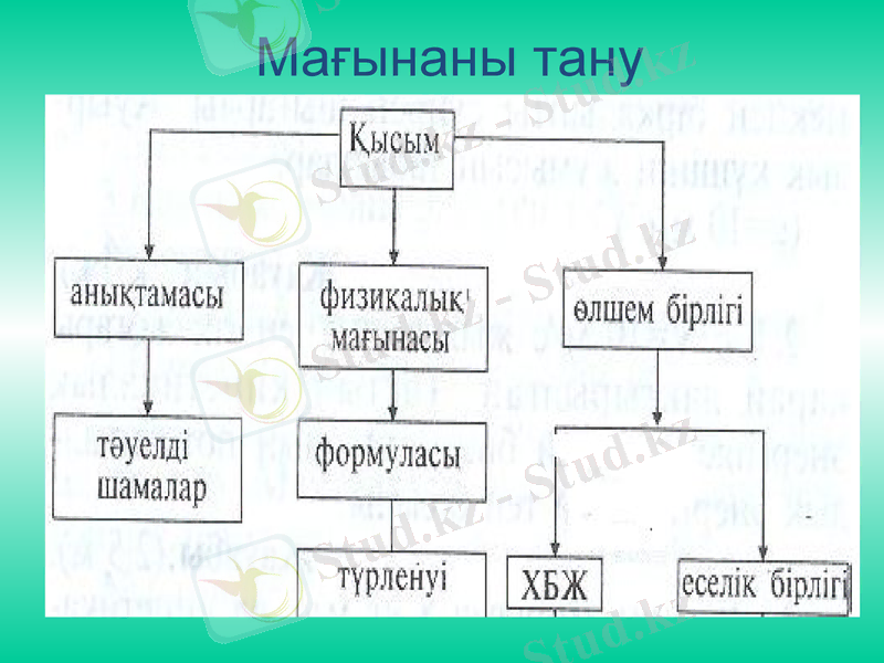 Slide 11