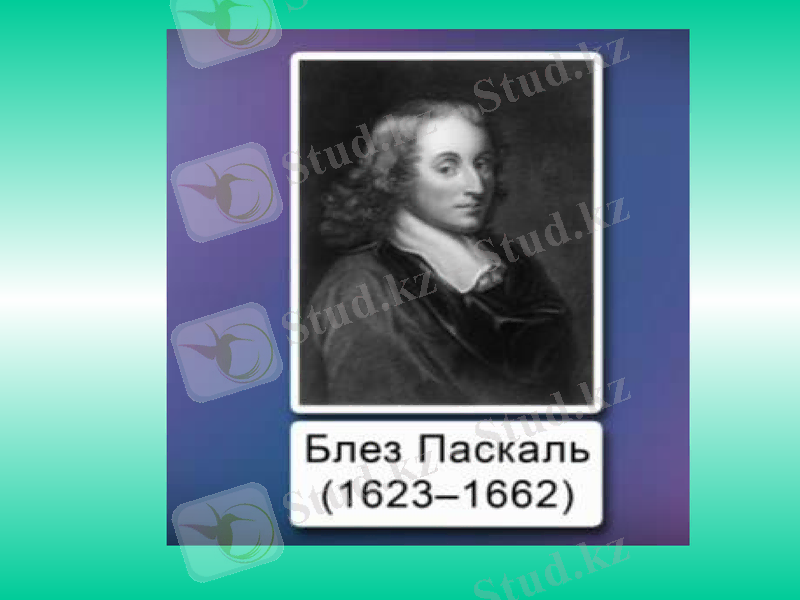 Slide 13