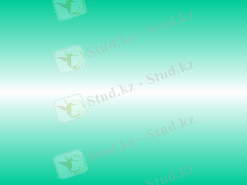Slide 8
