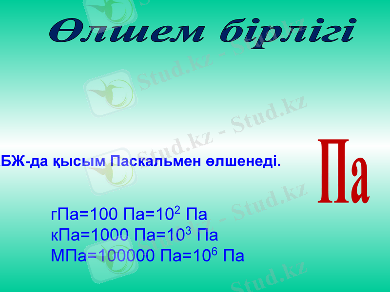 Slide 9