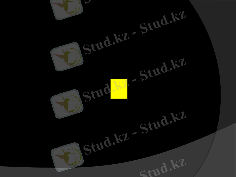 Slide 11