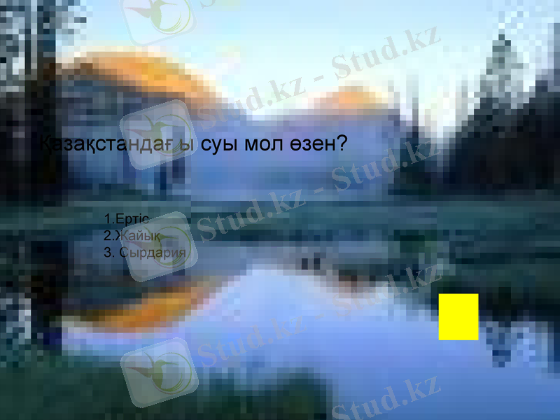 Slide 12