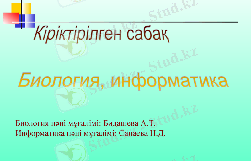 Slide 1