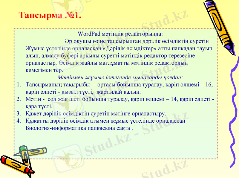 Slide 11