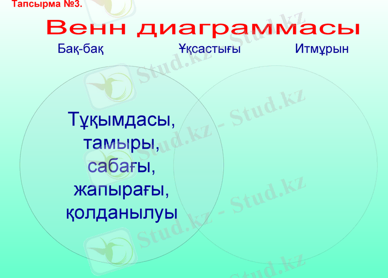 Slide 13