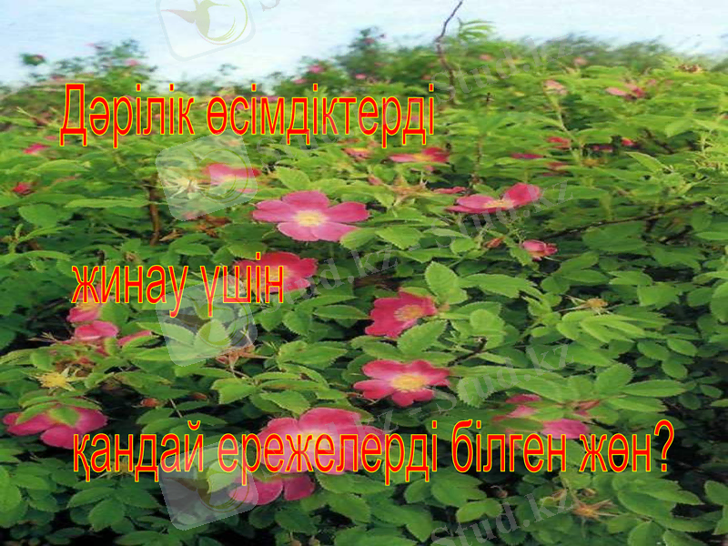 Slide 18