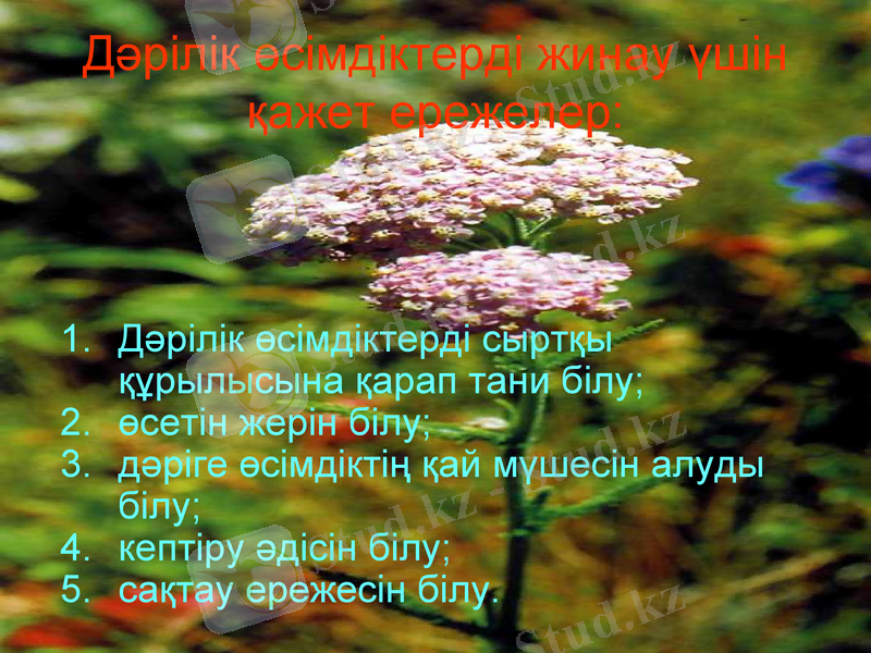 Slide 19