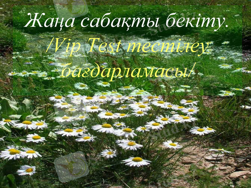 Slide 20