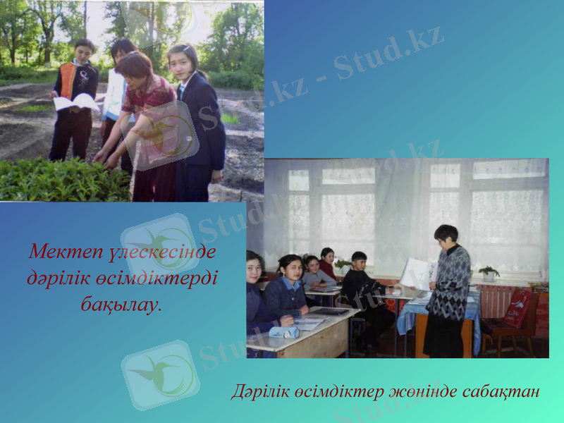 Slide 9