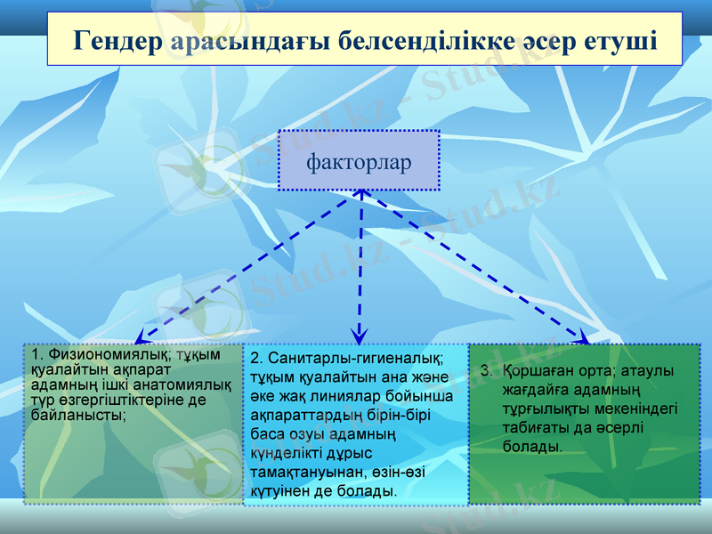 Slide 10