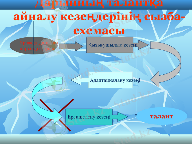 Slide 11