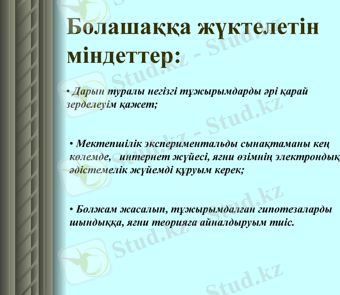 Slide 13