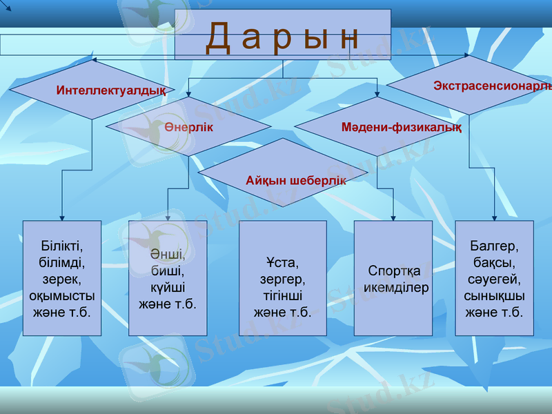 Slide 5