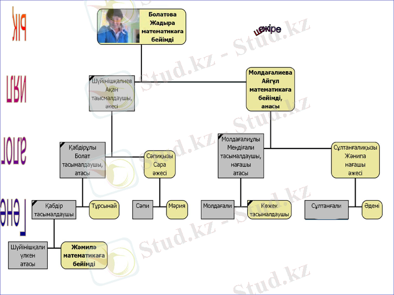 Slide 7