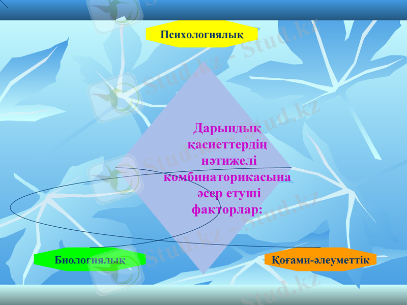 Slide 8