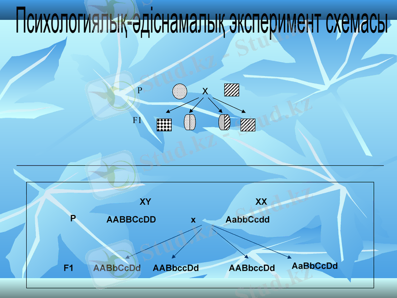 Slide 9