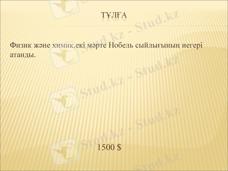 Slide 11