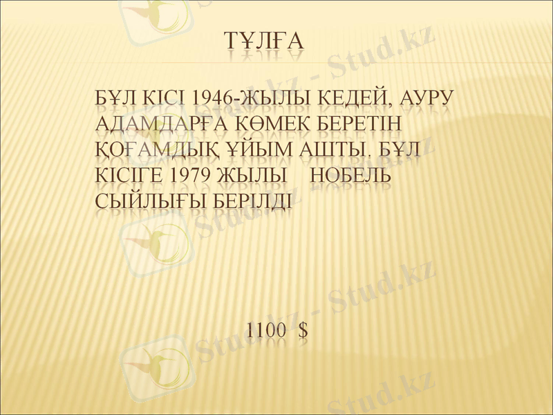 Slide 6