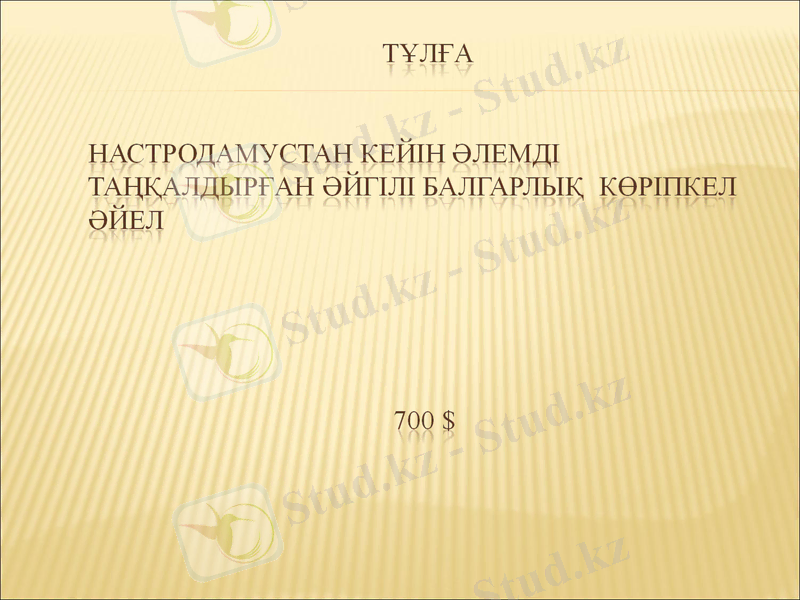 Slide 8