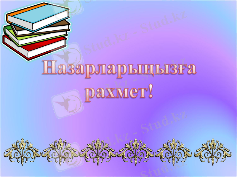 Slide 13