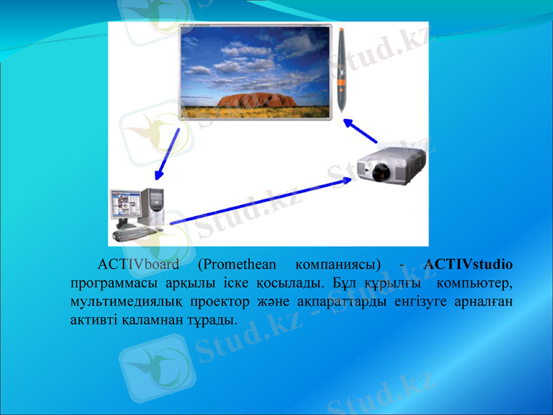 Slide 13