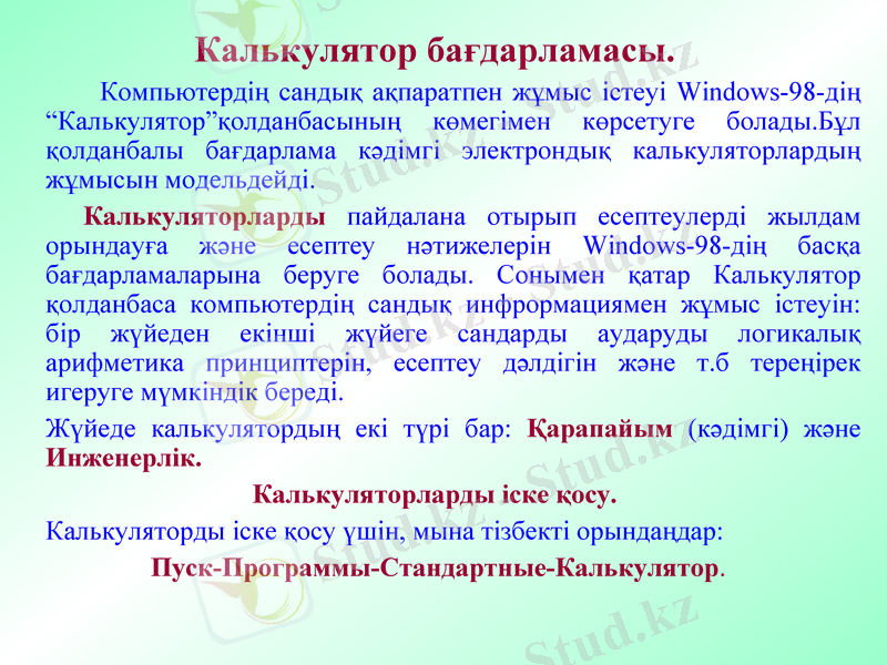 Slide 8