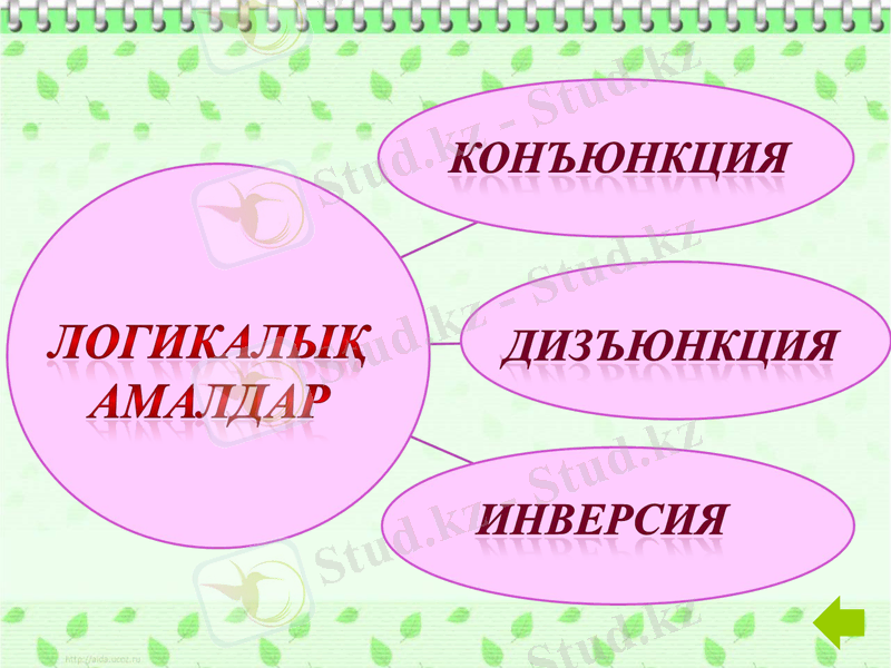 Slide 7