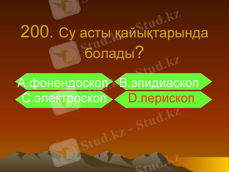 Slide 5