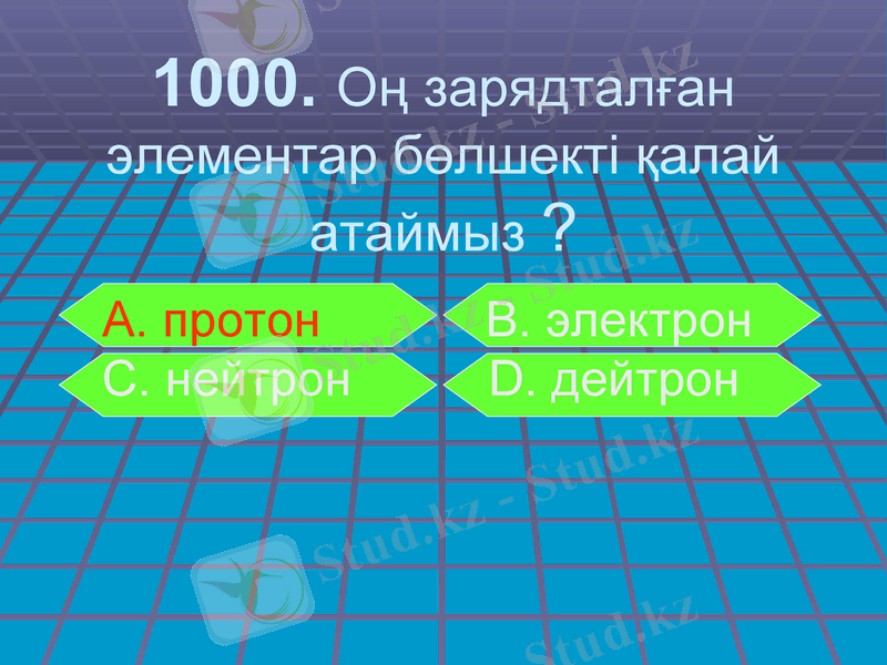 Slide 11