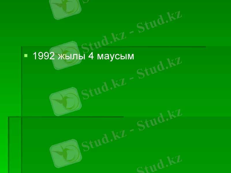 Slide 13