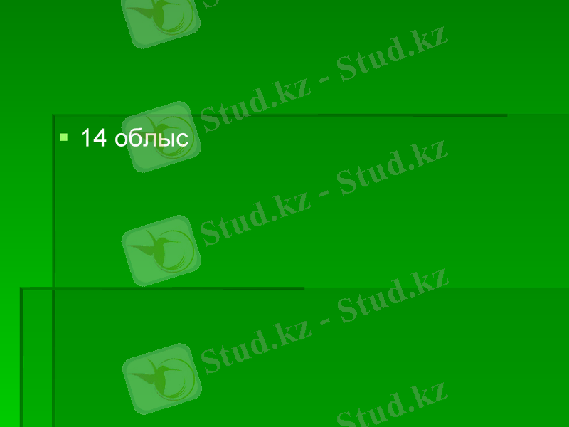 Slide 19