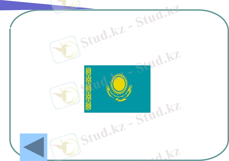 Slide 31