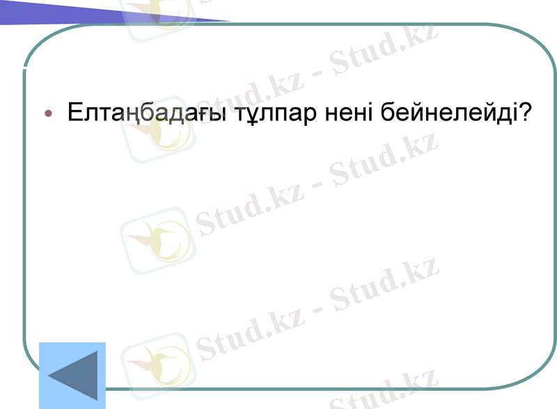 Slide 35
