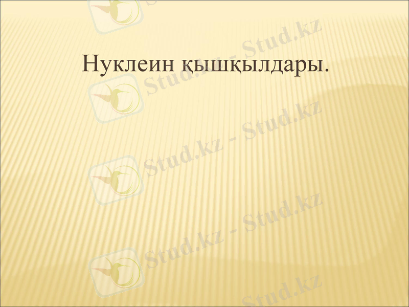 Slide 1