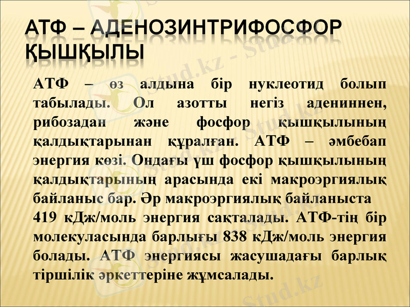 Slide 10