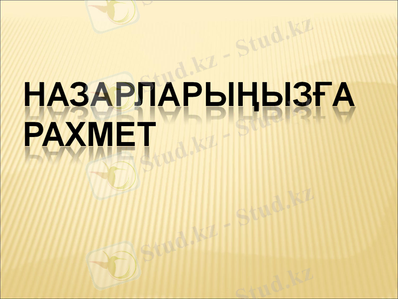 Slide 11